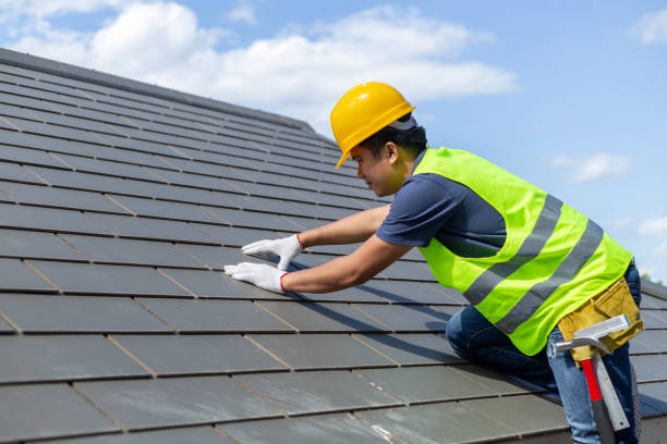 Best Roof Gutter Cleaning  in Tazewell, TN