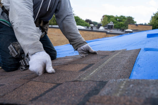 Best Commercial Roofing Services  in Tazewell, TN