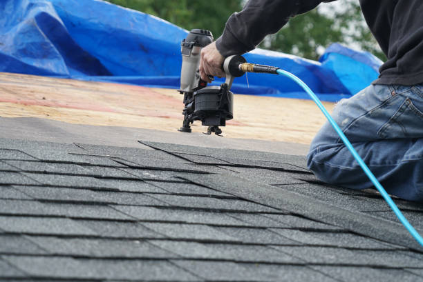 Professional Roofing Contractor in Tazewell, TN